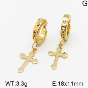 Stainless Steel Earrings  5E4000749aakl-314