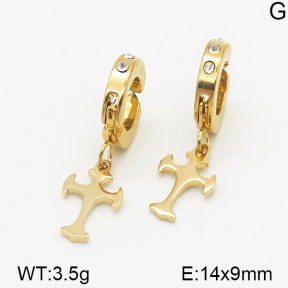 Stainless Steel Earrings  5E4000750aakl-314