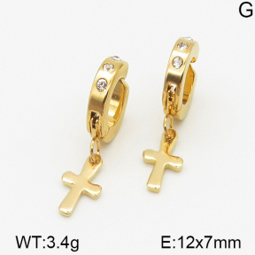 Stainless Steel Earrings  5E4000751aakl-314