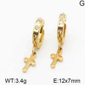 Stainless Steel Earrings  5E4000753aakl-314