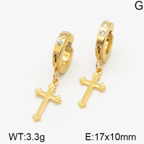 Stainless Steel Earrings  5E4000754aakl-314