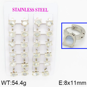 SS Earrings  TE2000073ajik-446