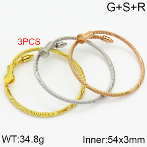 SS Bangles  TZ2000049vhov-652