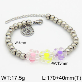 Stainless Steel Bracelet  2B4000571bbov-350