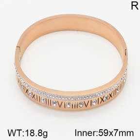 Stainless Steel Bangle  5BA400358vhmv-434