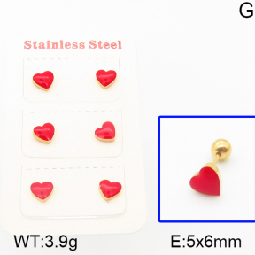 Stainless Steel Earrings  5E3000233bhjl-669