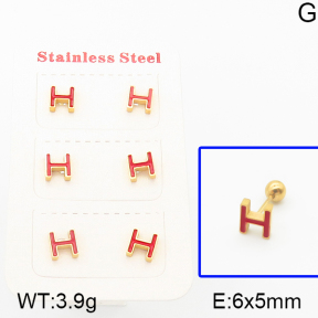 Stainless Steel Earrings  5E3000234vhkb-669