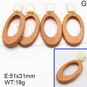 Stainless Steel Earrings  5E3000237aima-722