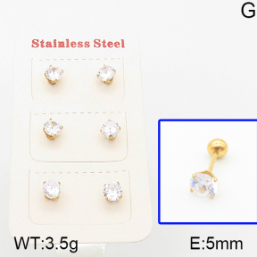 Stainless Steel Earrings  5E4000763ahjb-669