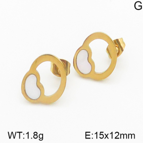 Stainless Steel Earrings  5E4000768avja-615