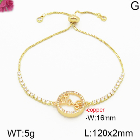 Fashion Copper Bracelet  F5B400546ahjb-J111