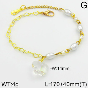 Stainless Steel Bracelet  2B3000231bhva-658