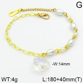 Stainless Steel Bracelet  2B3000232bhva-658