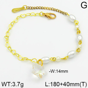 Stainless Steel Bracelet  2B3000233bhva-658