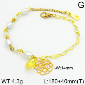 Stainless Steel Bracelet  2B3000234bhia-658