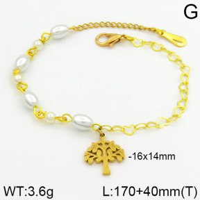 Stainless Steel Bracelet  2B3000239bhva-658