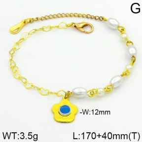 Stainless Steel Bracelet  2B3000240bhva-658