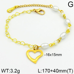 Stainless Steel Bracelet  2B3000241bhva-658