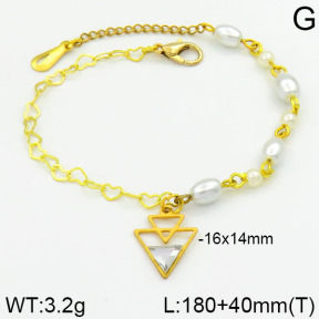 Stainless Steel Bracelet  2B3000242bhia-658