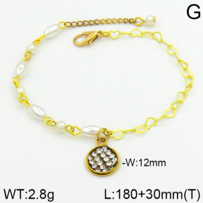 Stainless Steel Bracelet  2B3000243bhia-658