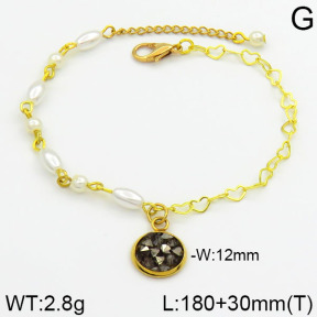 Stainless Steel Bracelet  2B3000245bhia-658