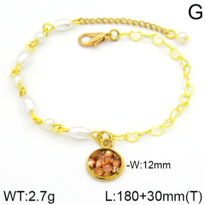 Stainless Steel Bracelet  2B3000246bhia-658