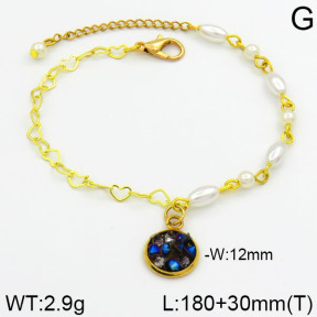 Stainless Steel Bracelet  2B3000247bhia-658