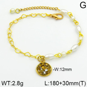 Stainless Steel Bracelet  2B3000248bhia-658