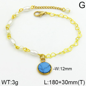 Stainless Steel Bracelet  2B3000249bhva-658