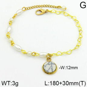 Stainless Steel Bracelet  2B3000253bhva-658