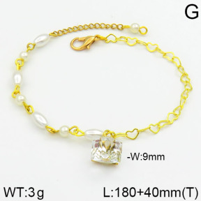 Stainless Steel Bracelet  2B3000255bhva-658