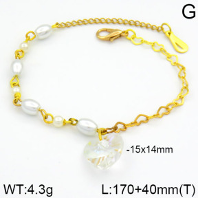 Stainless Steel Bracelet  2B3000256bhva-658