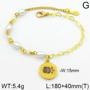 Stainless Steel Bracelet  2B3000258bhva-658