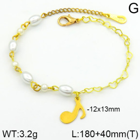 Stainless Steel Bracelet  2B3000259bhva-658