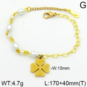 Stainless Steel Bracelet  2B3000262bhva-658