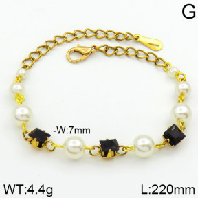 Stainless Steel Bracelet  2B3000267bhia-658