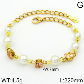 Stainless Steel Bracelet  2B3000270bhia-658