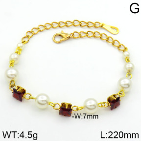 Stainless Steel Bracelet  2B3000271bhia-658