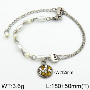 Stainless Steel Bracelet  2B3000272bhia-658