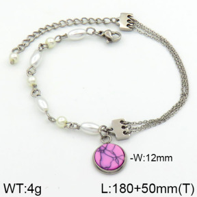 Stainless Steel Bracelet  2B3000279bhva-658