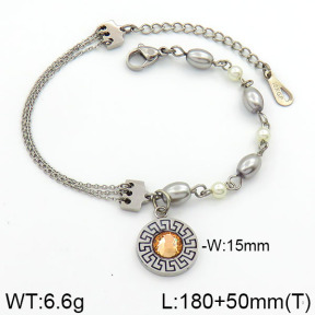 Stainless Steel Bracelet  2B3000290bhia-658