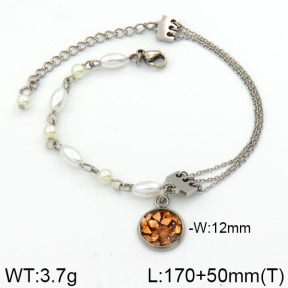 Stainless Steel Bracelet  2B3000291bhia-658