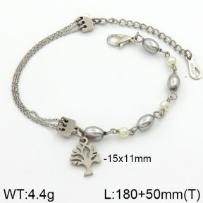 Stainless Steel Bracelet  2B3000297bhva-658