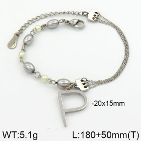 Stainless Steel Bracelet  2B3000309bhva-658