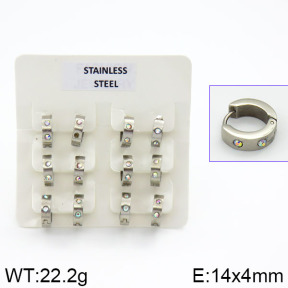 Stainless Steel Earrings  2E4000606bhia-658