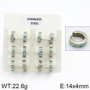 Stainless Steel Earrings  2E4000607bhia-658