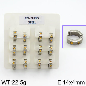 Stainless Steel Earrings  2E4000608bhia-658