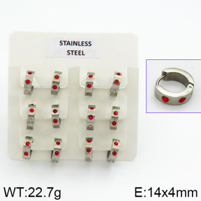 Stainless Steel Earrings  2E4000609bhia-658