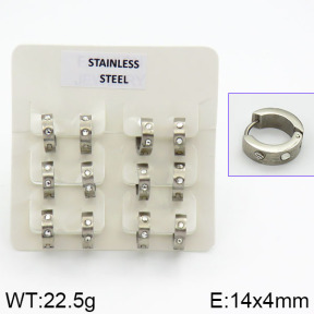 Stainless Steel Earrings  2E4000611bhia-658