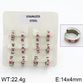 Stainless Steel Earrings  2E4000612bhia-658